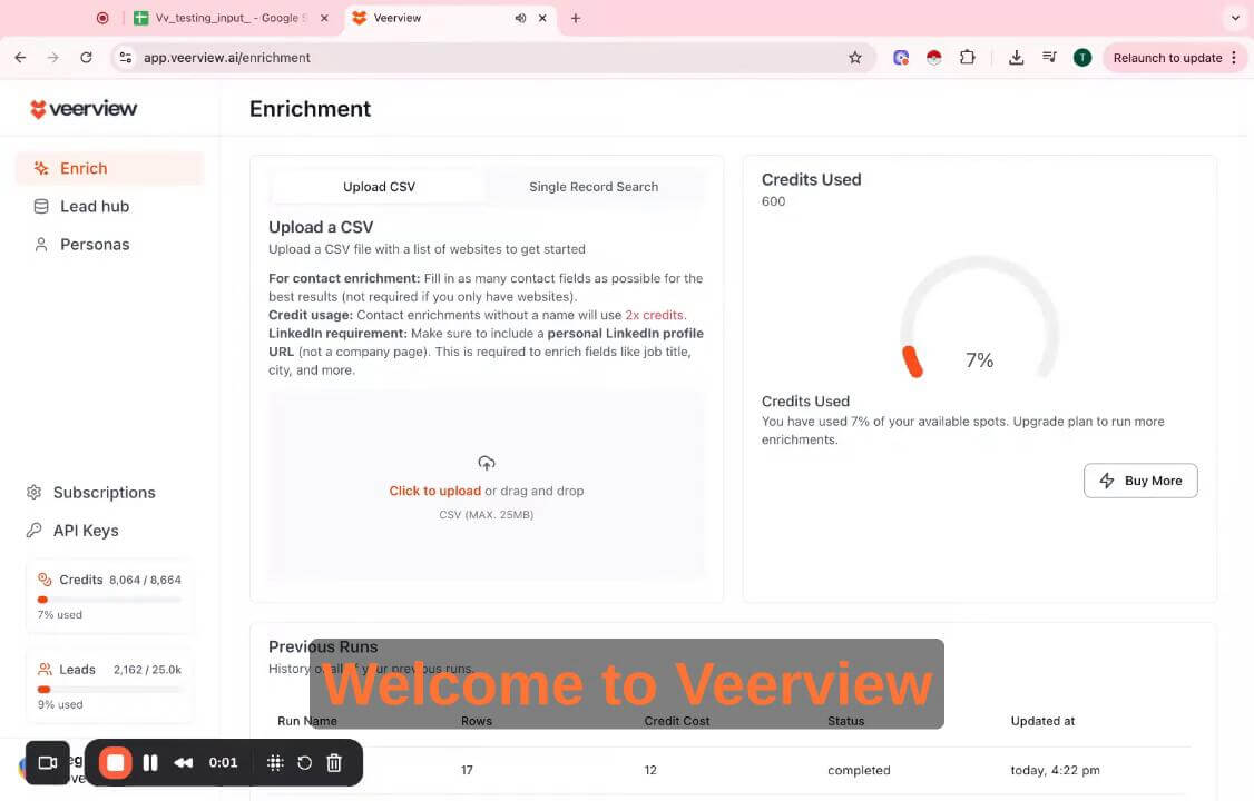 Veerview AI Screenshot