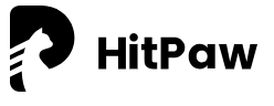 HitPaw Online AI Video Translator Code coupon de réduction