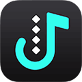 ViWizard Tidal Music Converter Code coupon de réduction