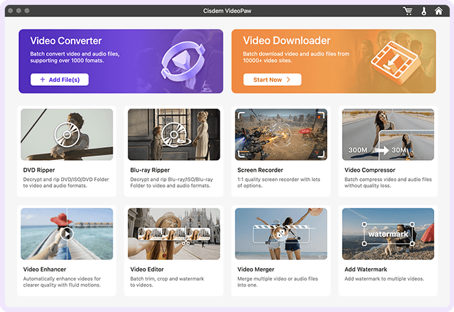 Cisdem VideoPaw Screenshot