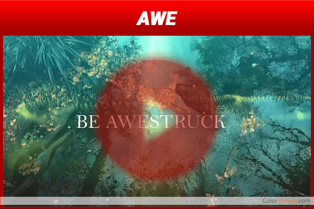 Conceptual Video Suite Ultimate Discount Coupon Code