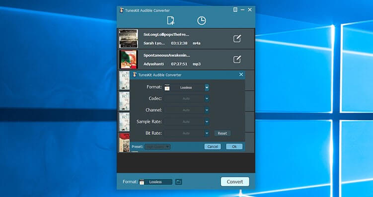 ViWizard Audible Audiobook Converter Screenshot