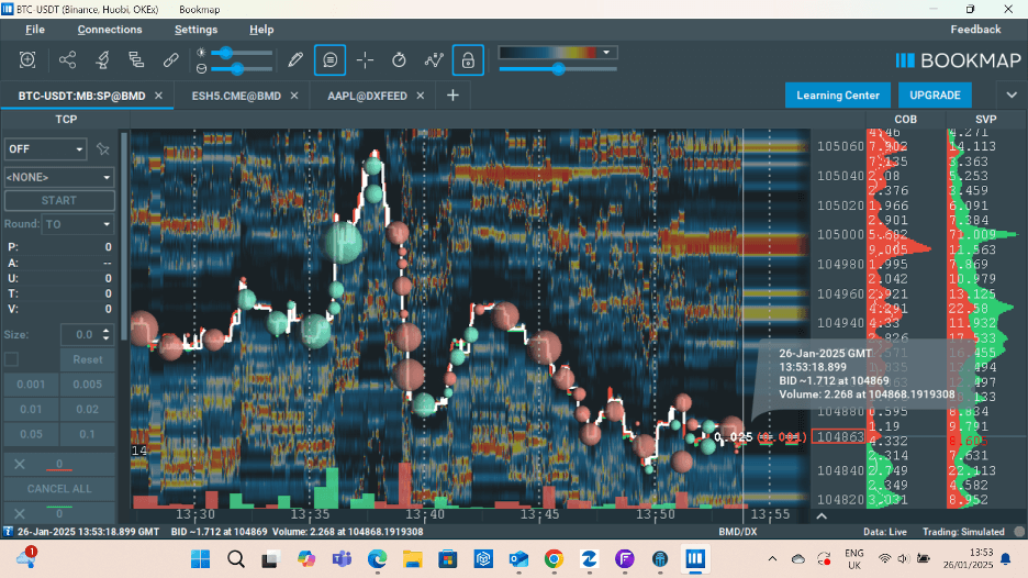 Bookmap Screenshot
