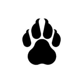 ClawCloud Run Boxshot