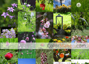 Masonry Gallery Screenshot