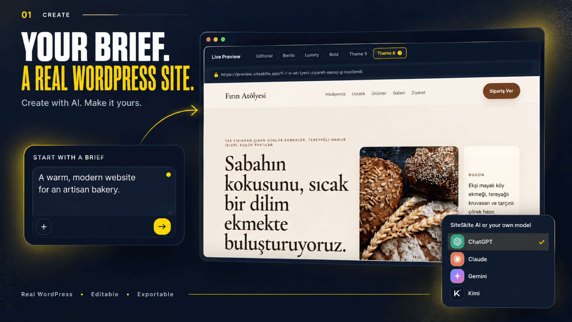 SiteSkite Screenshot