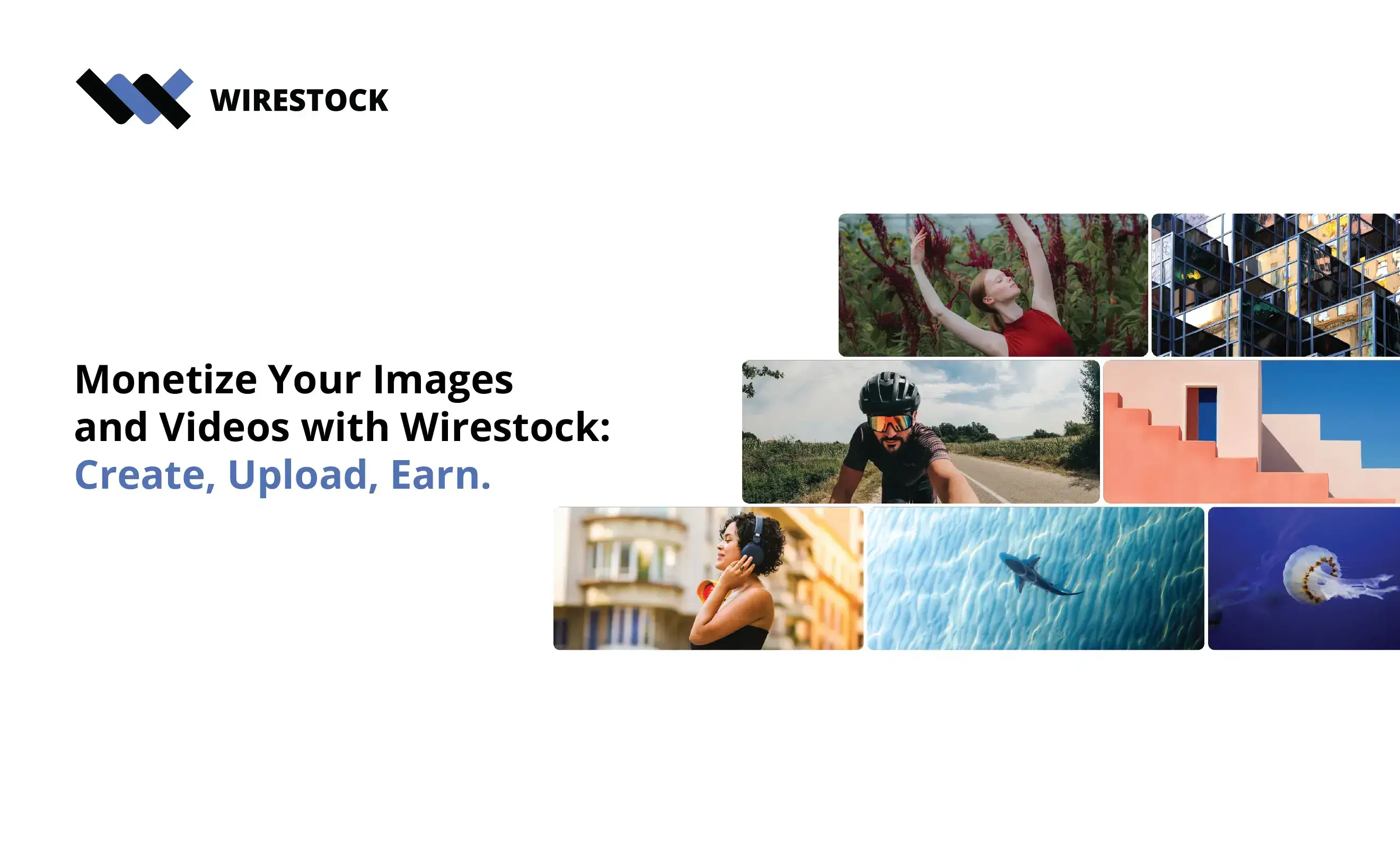 Wirestock Screenshot