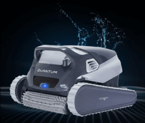 【High-End】Dolphin Quantum