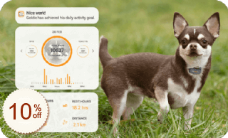 Pawfit Pet Tracker Code coupon de réduction