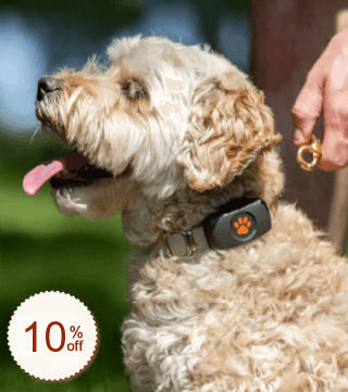 PitPat Code coupon de réduction