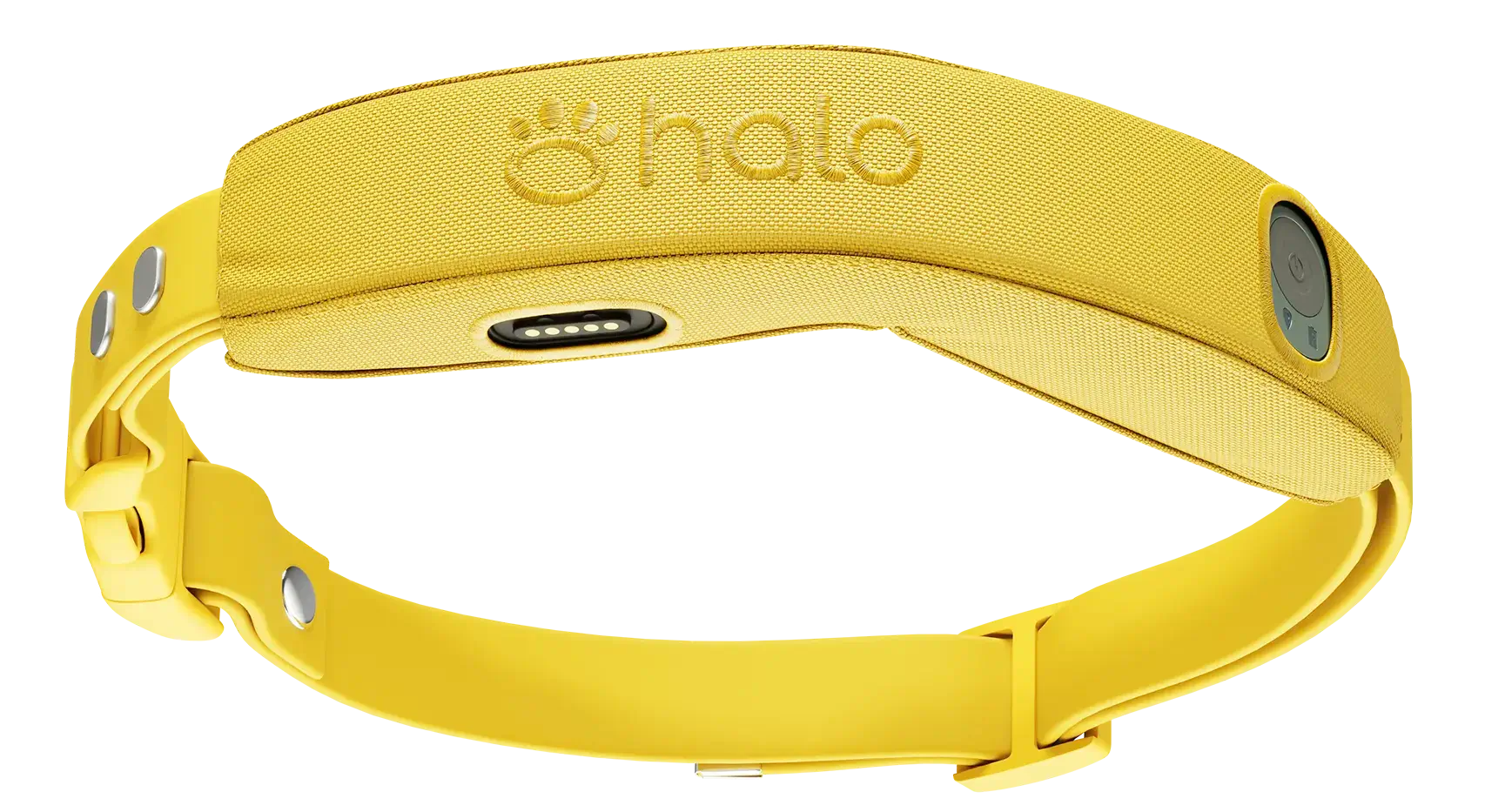 Halo Collar Screenshot