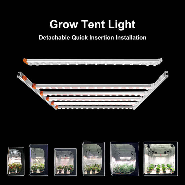 Koray Grow Light Screenshot