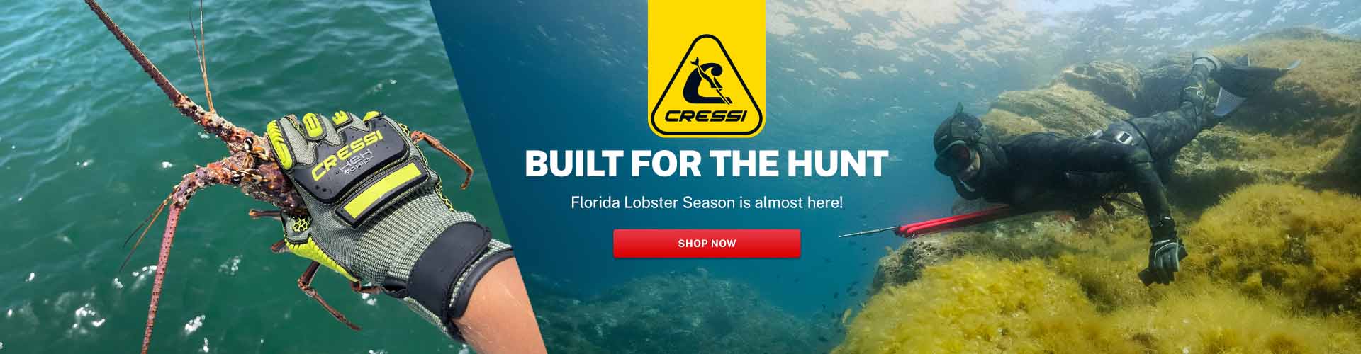 Scuba.com Screenshot