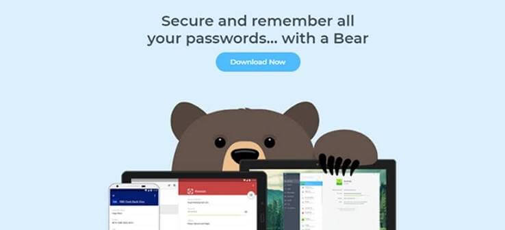 Remembear Screenshot