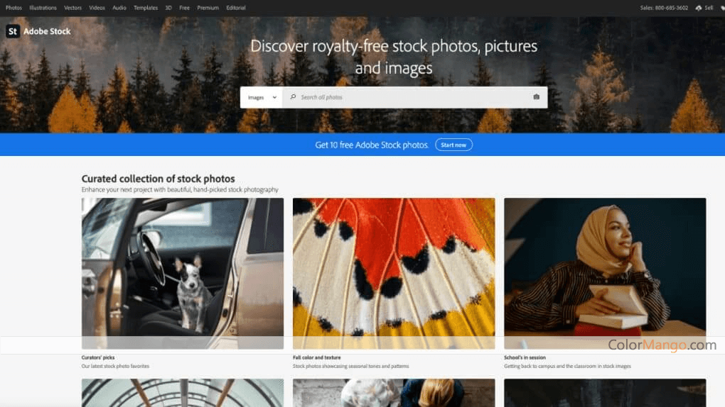 Adobe Stock Screenshot