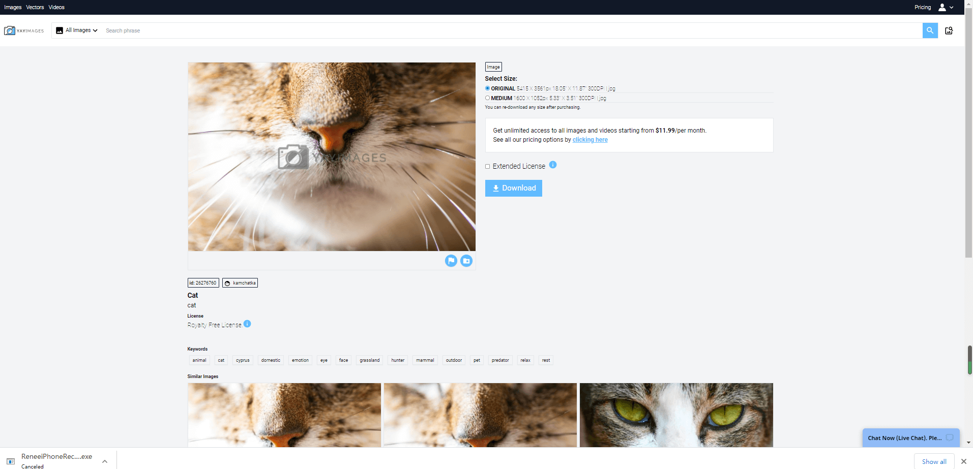 Yay Images Discount Coupon Code